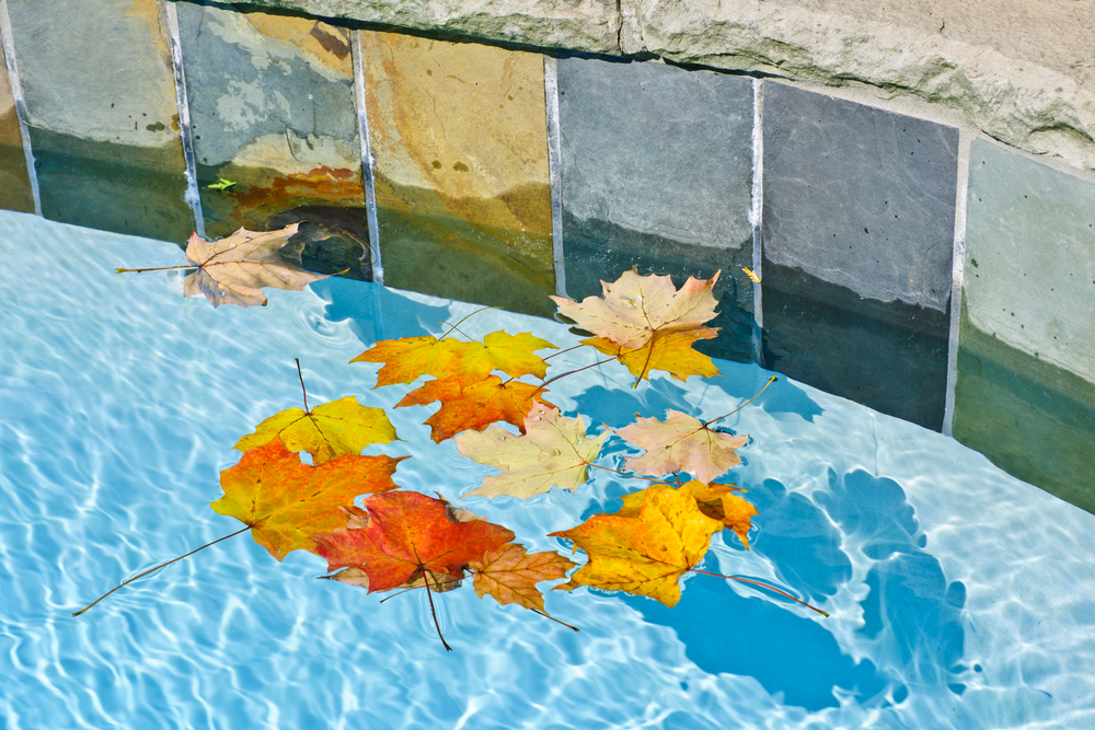 Pool in the Fall