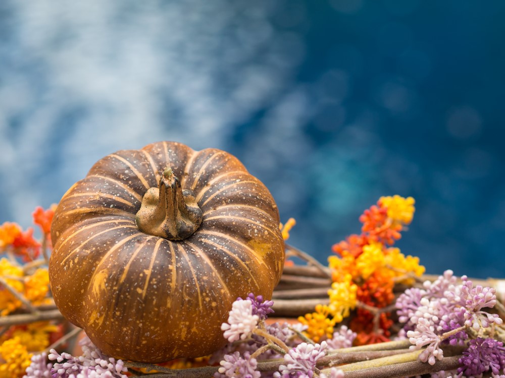 Fall Swimming