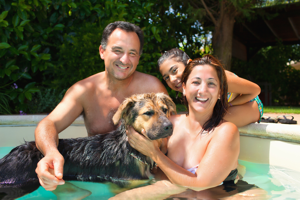 Have Fun This Summer in Your Backyard Pool